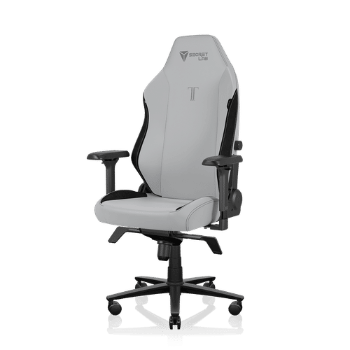 Secretlab TITAN Evo - Secretlab NEO™ Hybrid Leatherette - Ash