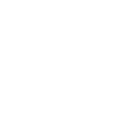 LCY Logo