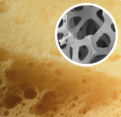A cross section of open cell foam.