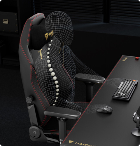 A figure showing how the natural curvatures of your spine are ergonomically supported by the Secretlab TITAN Evo.