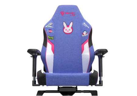 Dva dxracer cheap