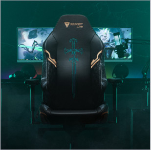 Secretlab x Ruination Special Edition gaming chair