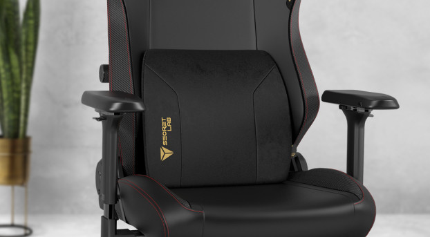 A black ergonomic gaming chair with red stitching and gold logos on the backrest and lumbar pillow is placed in a minimalist room with a potted plant in the background to the left.