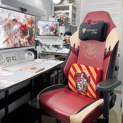 Product setup photo of Secretlab TITAN Evo in NEO™ Hybrid Leatherette Harry Potter