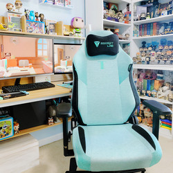 Product setup photo of Secretlab TITAN Evo in SoftWeave™ Plus Mint Green