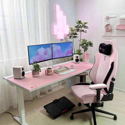 Product setup photo of Secretlab TITAN Evo in SoftWeave™ Plus Plush Pink and White MAGNUS Pro Plush Pink