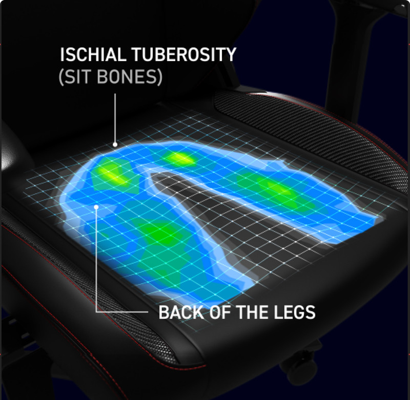 Ischial Tuberosity Sitting Bones Seat Cushion 