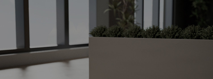 sale banner