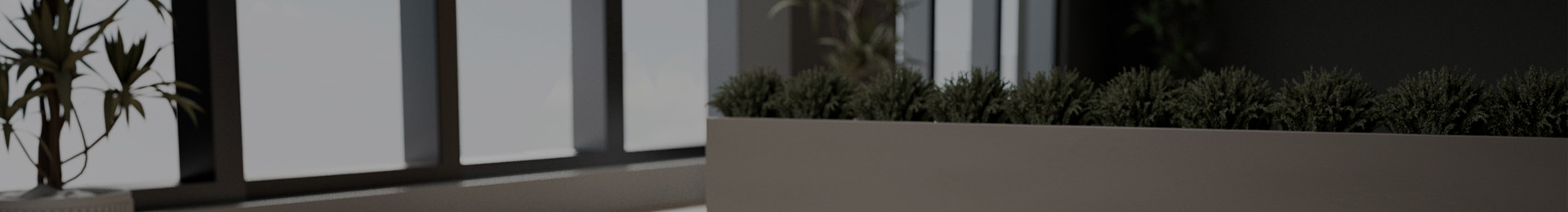 sale banner