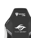 Team Secret Swatch