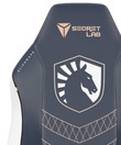 Team Liquid Swatch