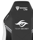 Team Secret Swatch