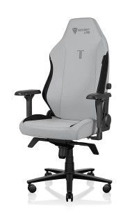 Secretlab TITAN Evo - Rサイズ - Secretlab NEO™ ハイブリッドレザーレット - アッシュ・Ash
