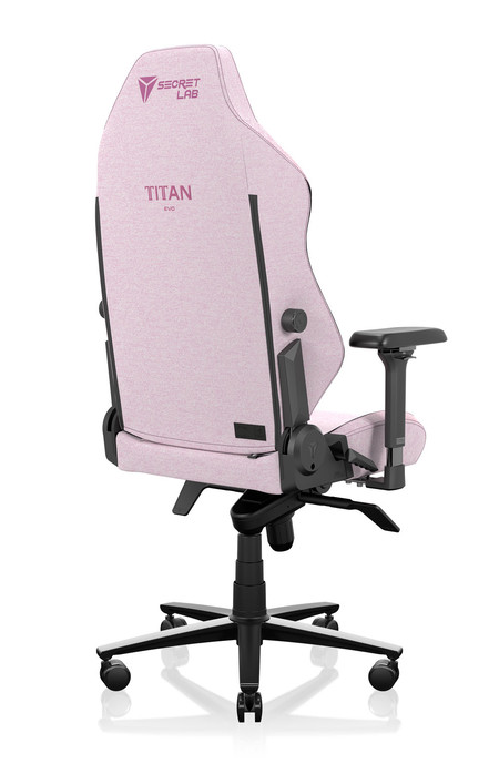 Plush Pink  -
                            Secretlab TITAN Evo
                        Alternate Product Image